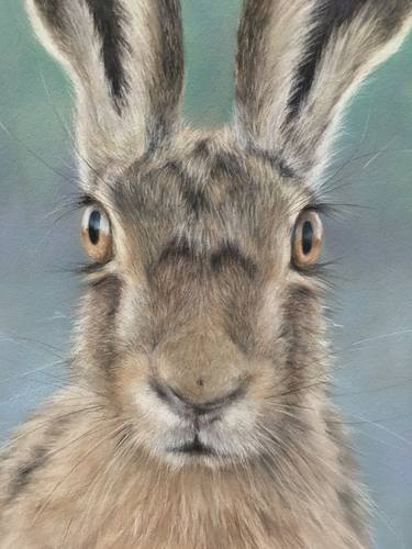 Original Realism Animal Drawings by Juan Pastor de la Puente