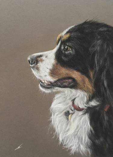 Original Realism Animal Drawings by Juan Pastor de la Puente