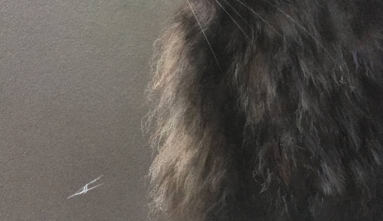 Original Realism Animal Drawing by Juan Pastor De La Puente