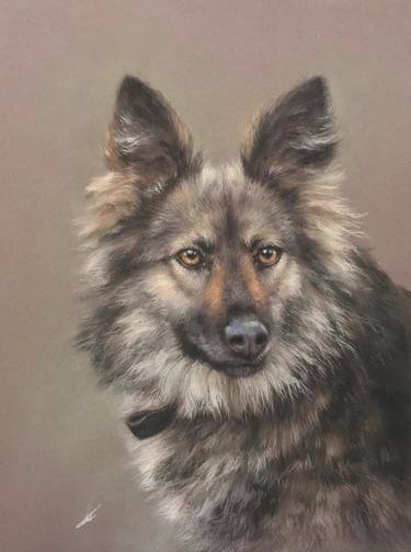 Original Realism Animal Drawings by Juan Pastor de la Puente