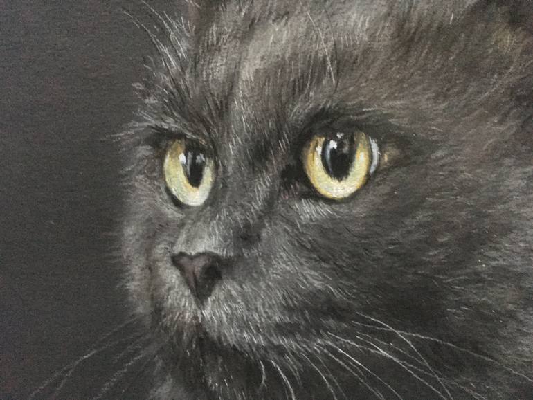 Original Realism Animal Drawing by Juan Pastor De La Puente