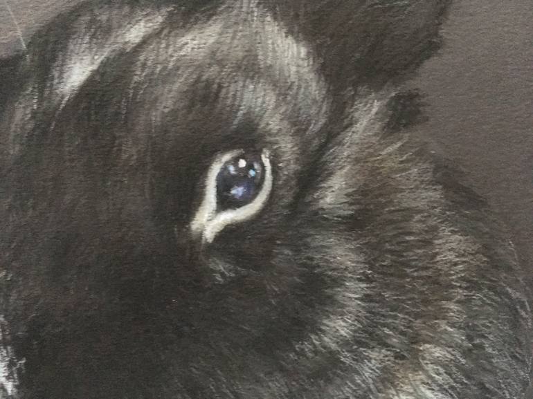 Original Realism Animal Drawing by Juan Pastor de la Puente