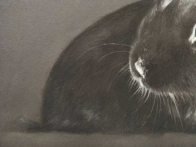 Original Realism Animal Drawing by Juan Pastor de la Puente