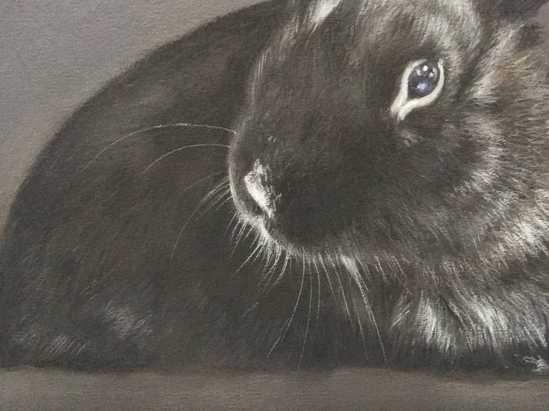 Original Realism Animal Drawing by Juan Pastor de la Puente