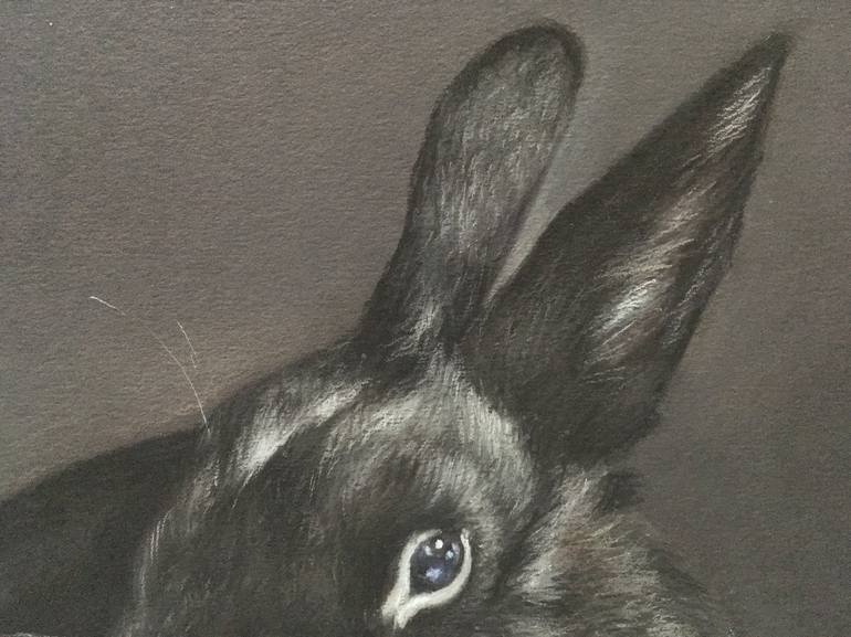 Original Realism Animal Drawing by Juan Pastor de la Puente