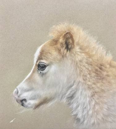 Original Realism Animal Drawings by Juan Pastor de la Puente