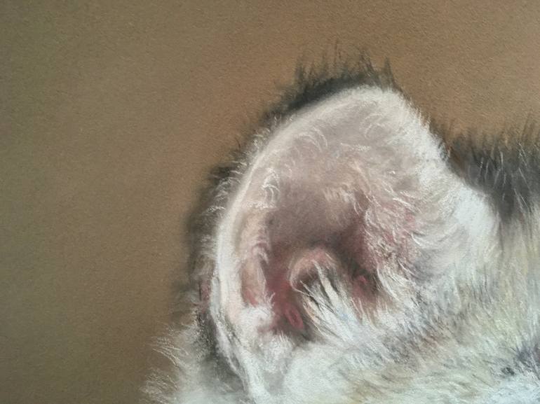 Original Realism Animal Drawing by Juan Pastor De La Puente