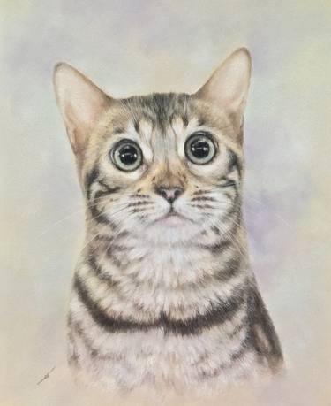 Original Realism Animal Drawings by Juan Pastor de la Puente