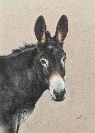 Original Realism Animal Drawings by Juan Pastor de la Puente