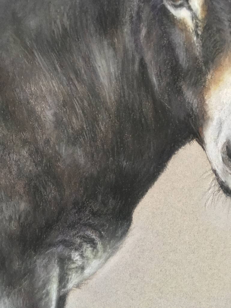 Original Realism Animal Drawing by Juan Pastor De La Puente