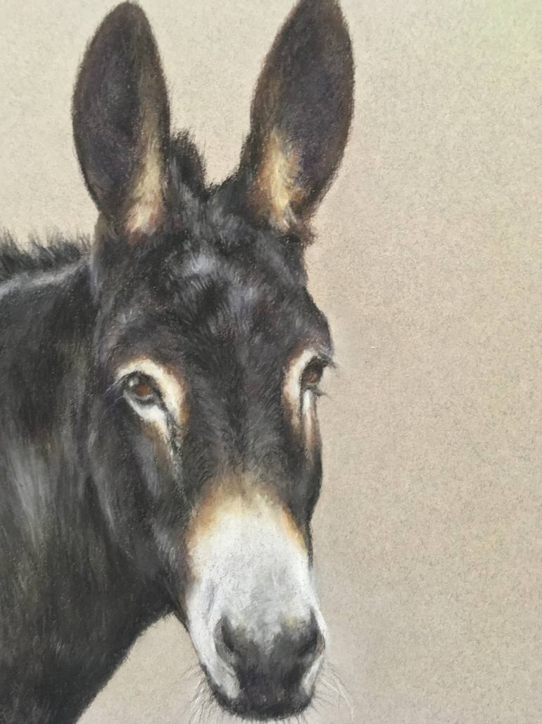 Original Realism Animal Drawing by Juan Pastor De La Puente