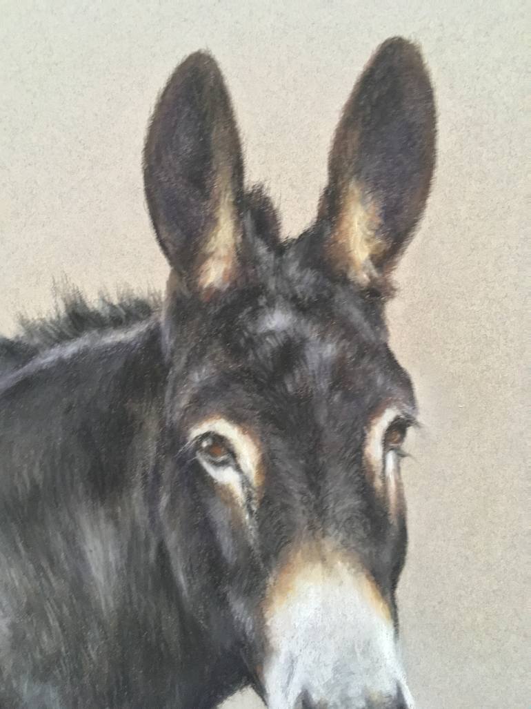 Original Realism Animal Drawing by Juan Pastor De La Puente
