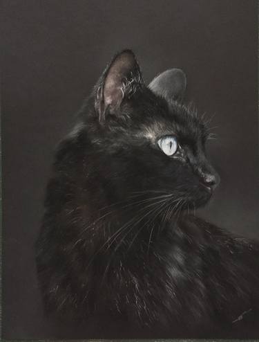 Original Realism Animal Drawings by Juan Pastor de la Puente