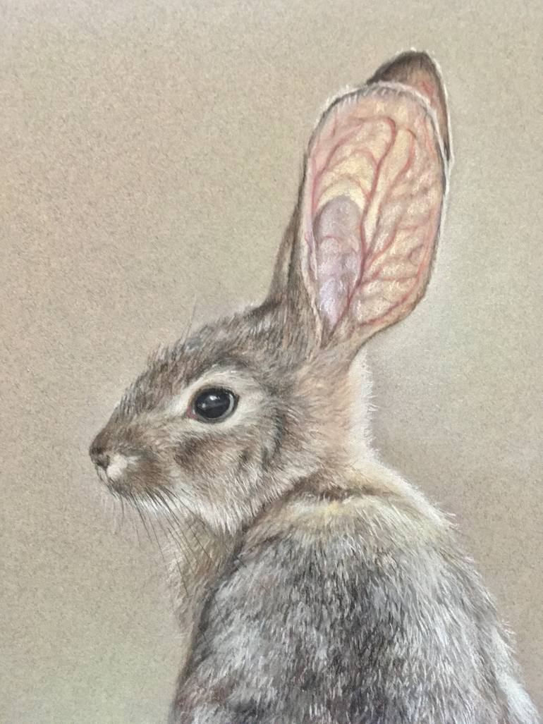 Original Realism Animal Drawing by Juan Pastor De La Puente