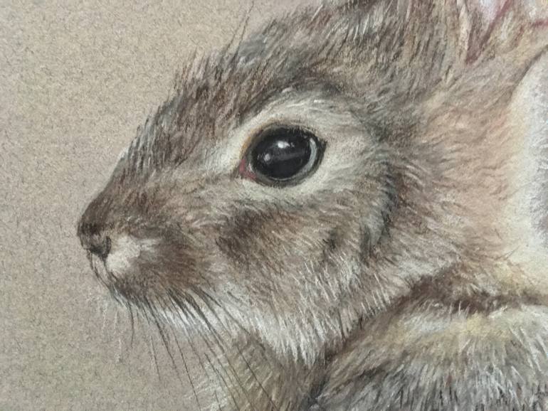 Original Realism Animal Drawing by Juan Pastor De La Puente