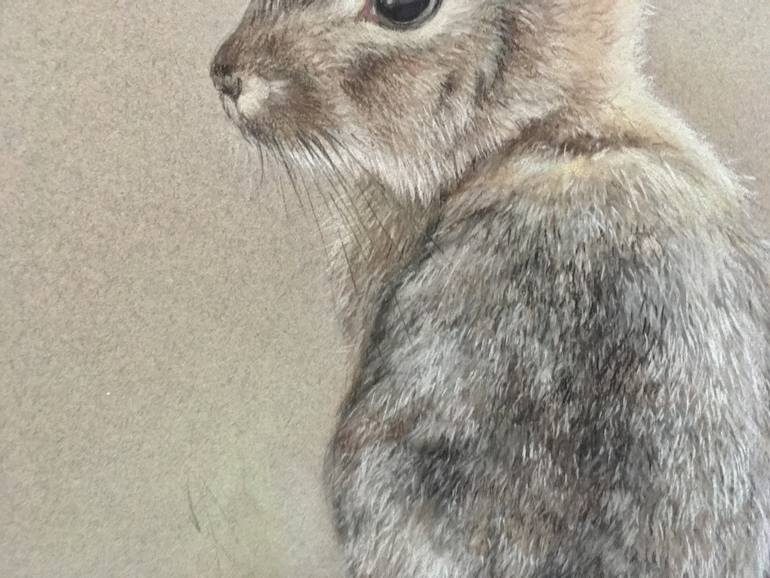 Original Realism Animal Drawing by Juan Pastor De La Puente