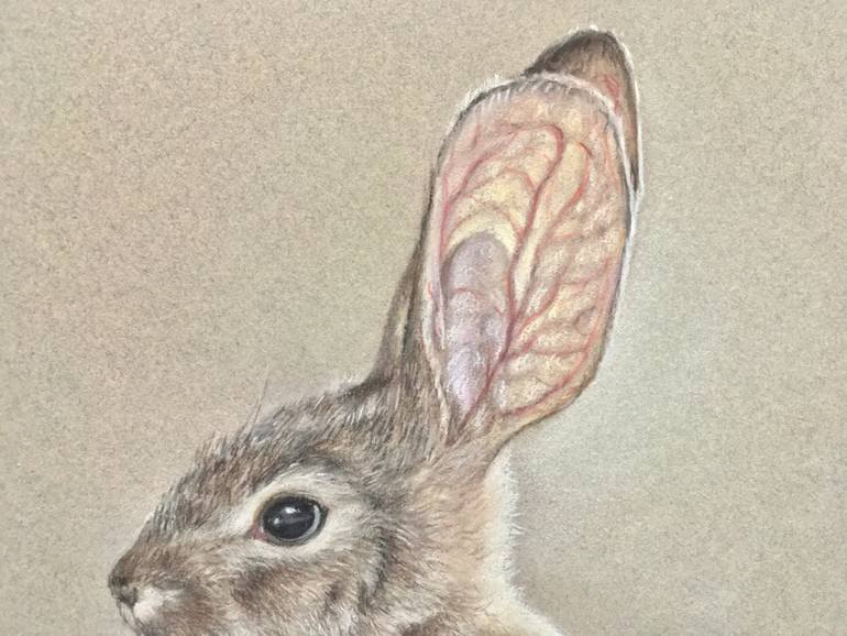 Original Realism Animal Drawing by Juan Pastor De La Puente