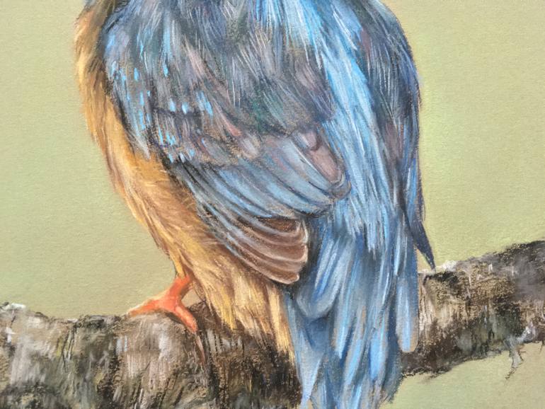 Original Realism Animal Drawing by Juan Pastor De La Puente