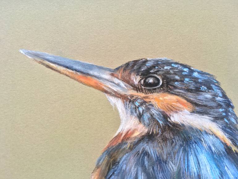 Original Realism Animal Drawing by Juan Pastor De La Puente
