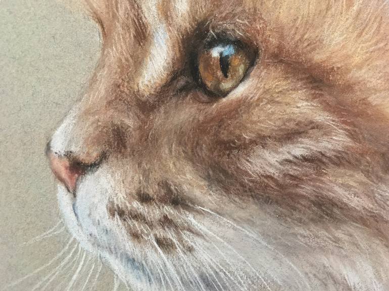 Original Realism Animal Drawing by Juan Pastor de la Puente