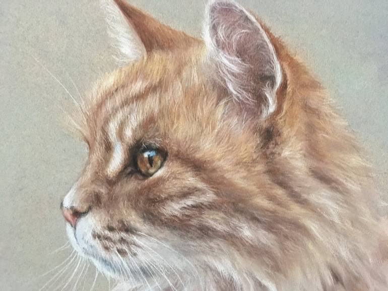 Original Realism Animal Drawing by Juan Pastor de la Puente