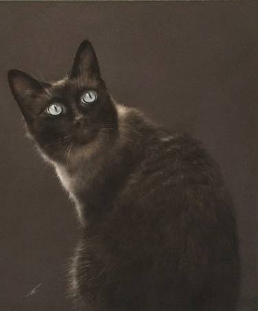 Original Realism Animal Drawings by Juan Pastor De La Puente