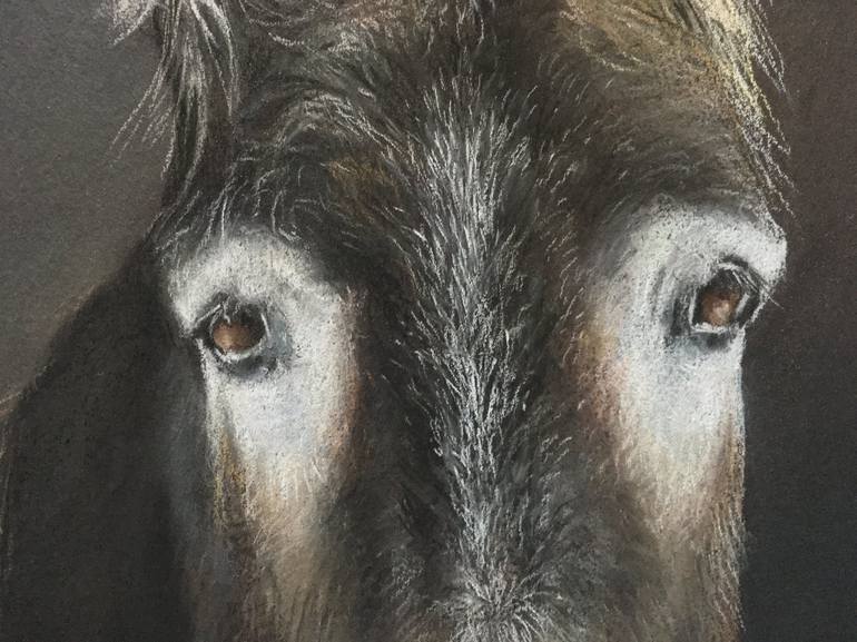 Original Realism Animal Drawing by Juan Pastor de la Puente