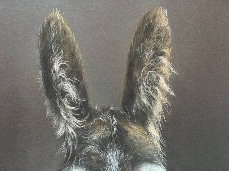 Original Realism Animal Drawing by Juan Pastor de la Puente