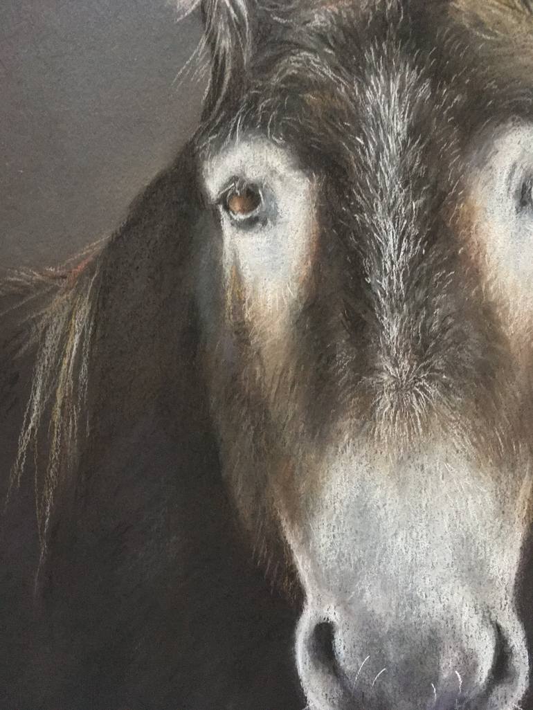 Original Realism Animal Drawing by Juan Pastor de la Puente