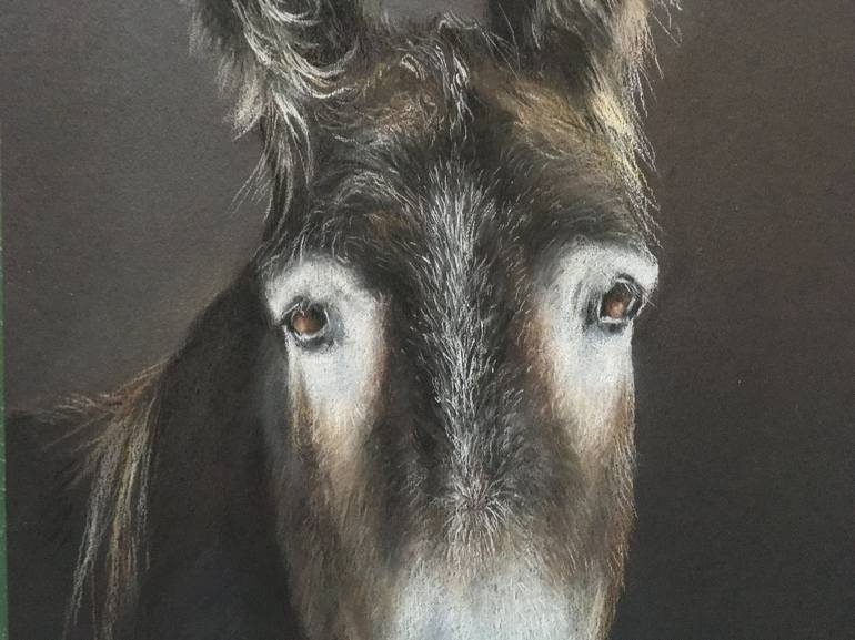 Original Realism Animal Drawing by Juan Pastor de la Puente