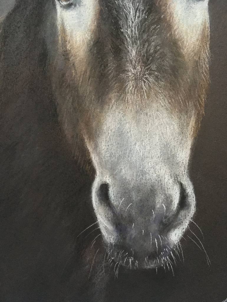 Original Realism Animal Drawing by Juan Pastor de la Puente