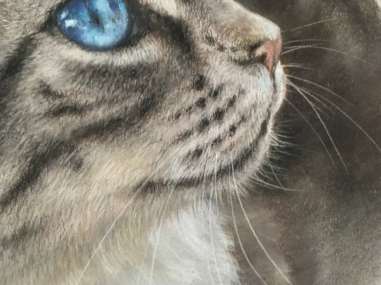 Original Realism Animal Drawing by Juan Pastor De La Puente