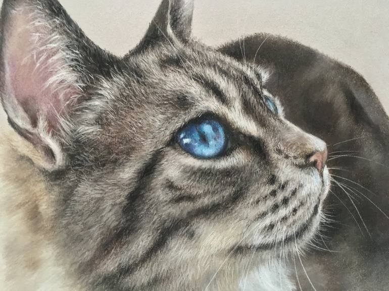 Original Realism Animal Drawing by Juan Pastor De La Puente
