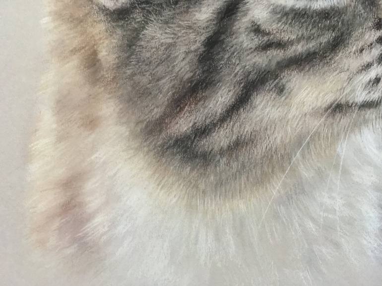 Original Realism Animal Drawing by Juan Pastor De La Puente
