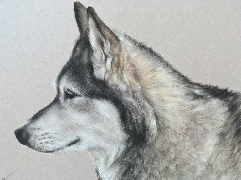 Original Realism Animal Drawing by Juan Pastor de la Puente