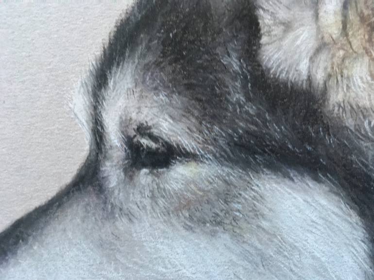 Original Realism Animal Drawing by Juan Pastor de la Puente