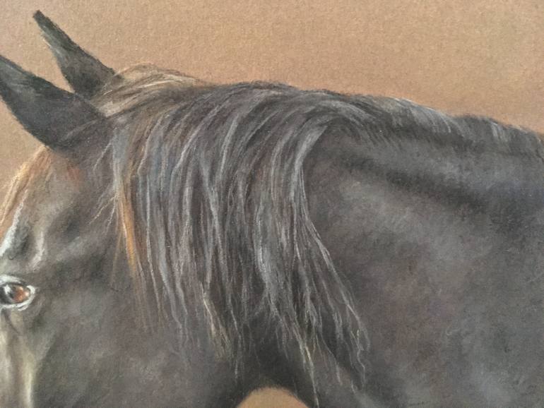 Original Realism Animal Drawing by Juan Pastor De La Puente