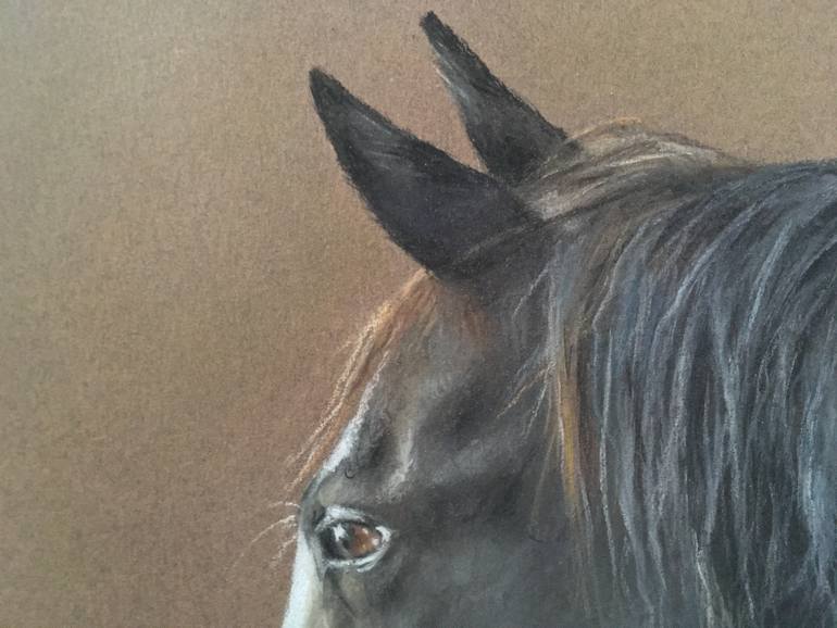 Original Realism Animal Drawing by Juan Pastor De La Puente