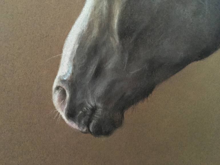 Original Realism Animal Drawing by Juan Pastor De La Puente
