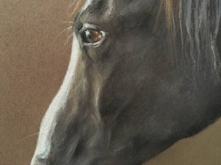 Original Realism Animal Drawing by Juan Pastor De La Puente