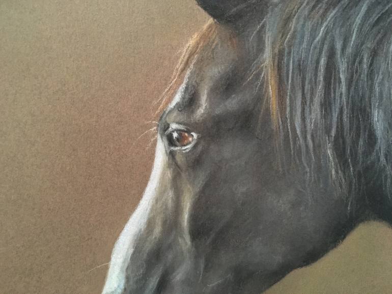 Original Realism Animal Drawing by Juan Pastor De La Puente