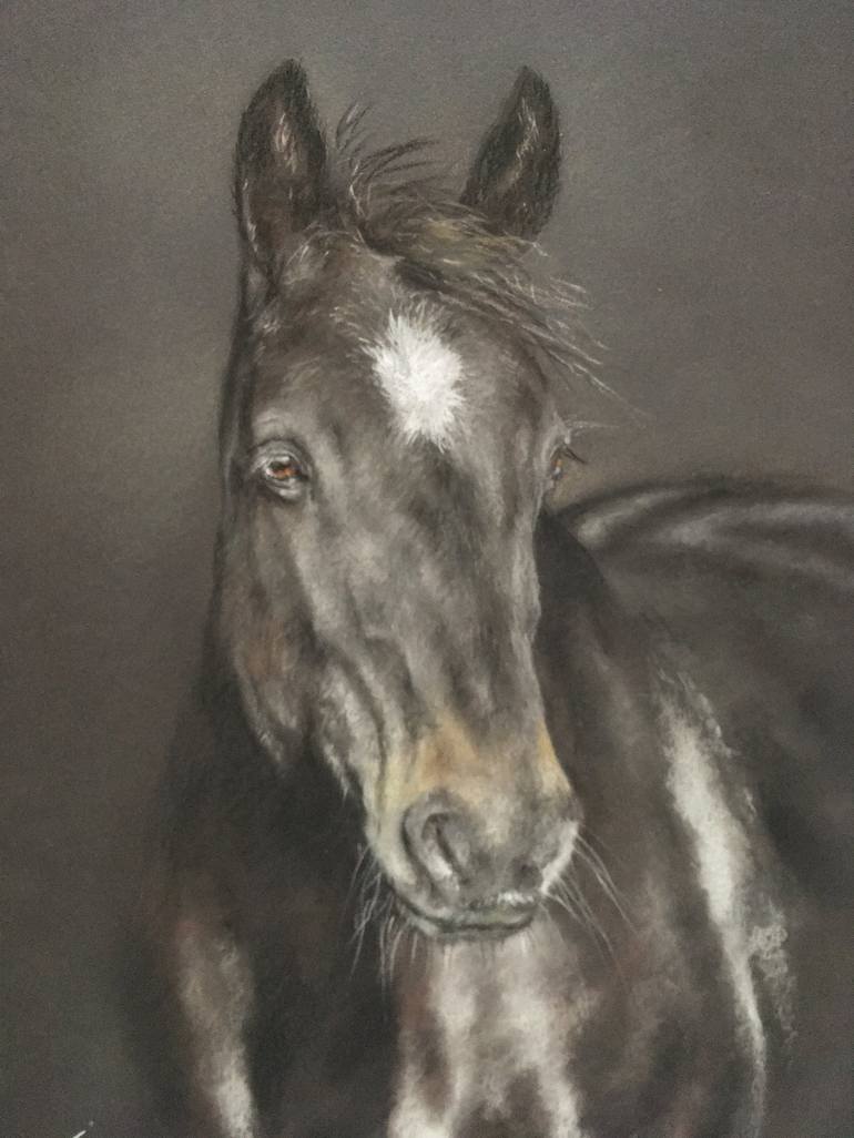 Original Realism Animal Drawing by Juan Pastor de la Puente