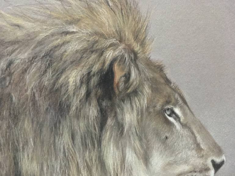 Original Realism Animal Drawing by Juan Pastor De La Puente