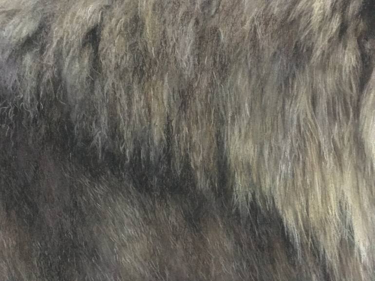 Original Realism Animal Drawing by Juan Pastor De La Puente