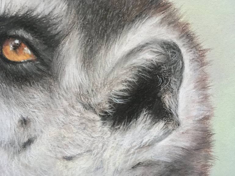 Original Realism Animal Drawing by Juan Pastor de la Puente