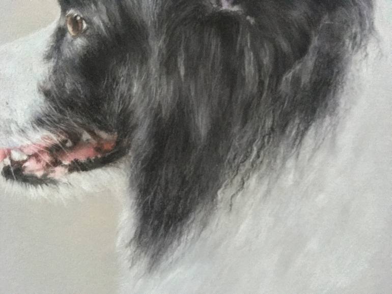 Original Realism Animal Drawing by Juan Pastor De La Puente