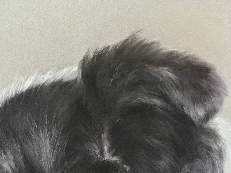 Original Realism Animal Drawing by Juan Pastor De La Puente