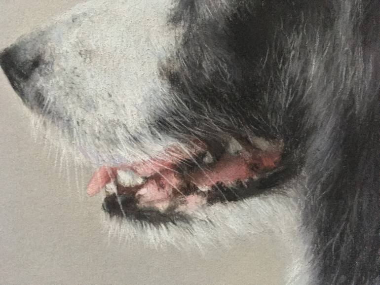 Original Realism Animal Drawing by Juan Pastor De La Puente