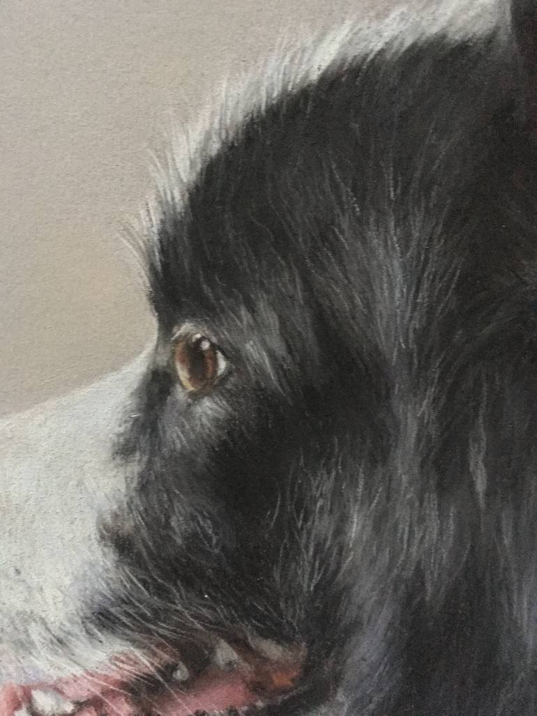 Original Realism Animal Drawing by Juan Pastor De La Puente