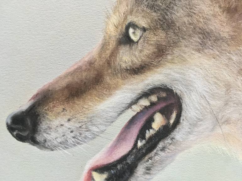 Original Realism Animal Drawing by Juan Pastor de la Puente